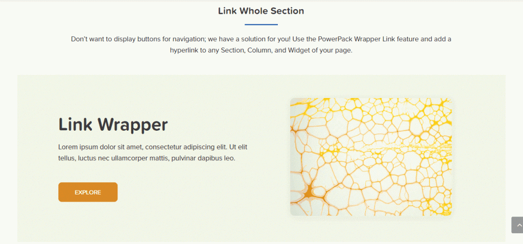 wrapper-link